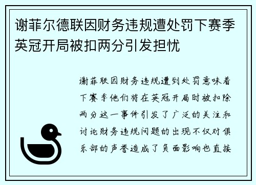谢菲尔德联因财务违规遭处罚下赛季英冠开局被扣两分引发担忧